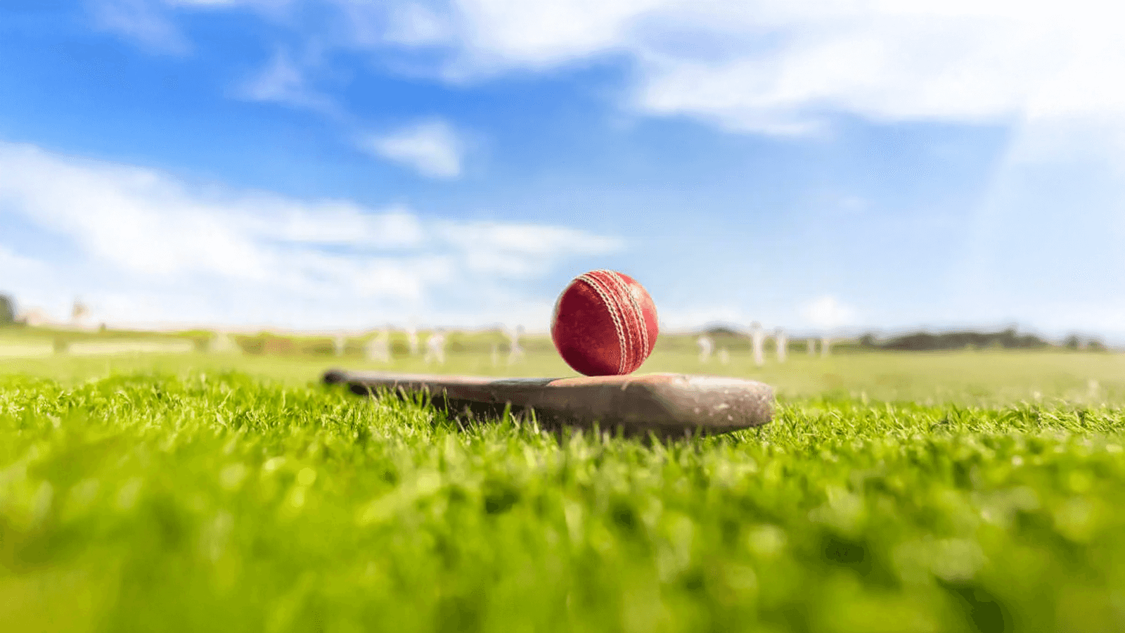 Junior cricket team